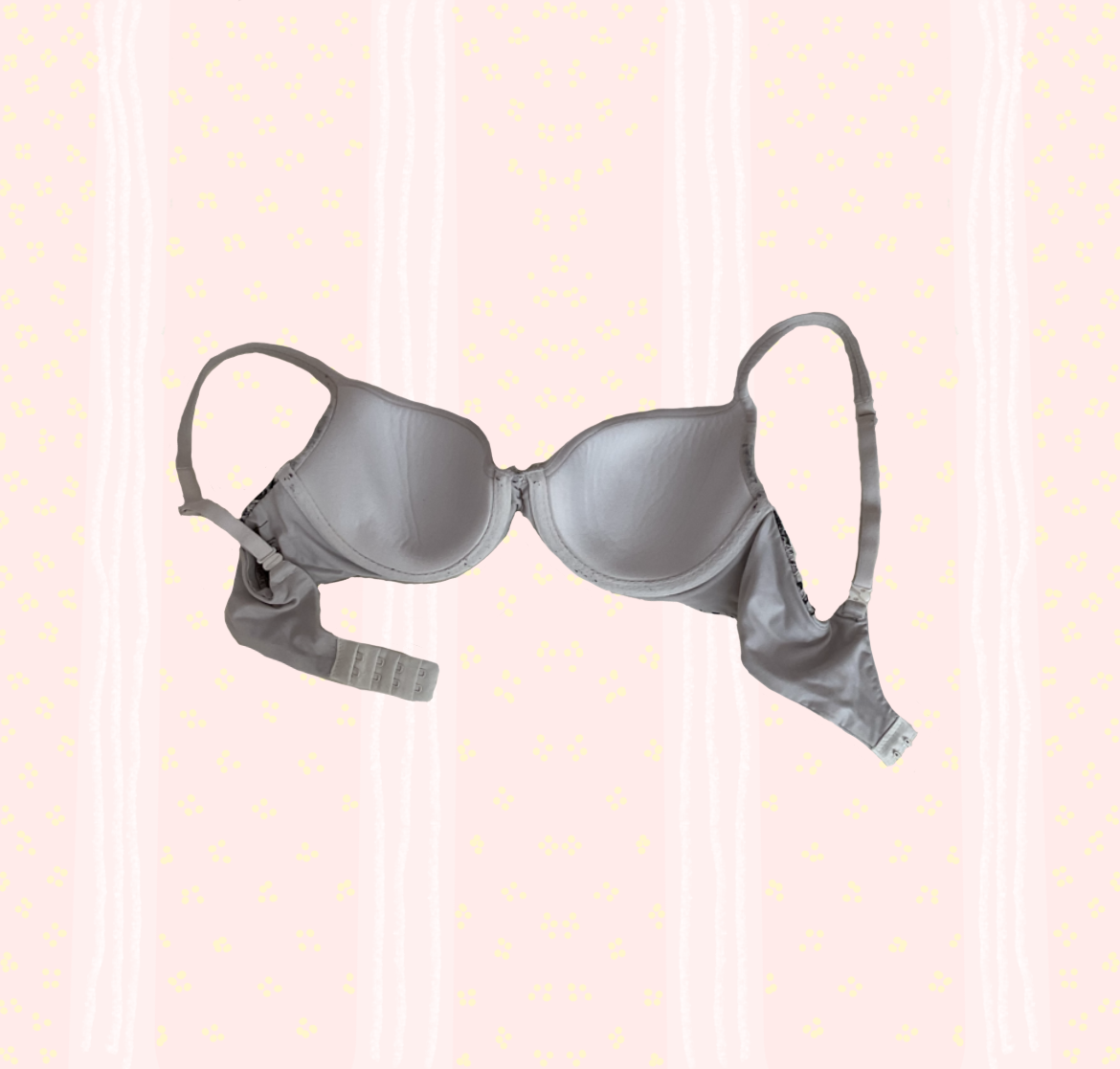 🪽Victoria’s Secret Body By Victoria Demi Bra 🪽