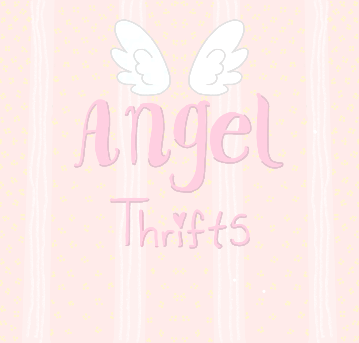 Angel thrifted mystery box!💕🪽